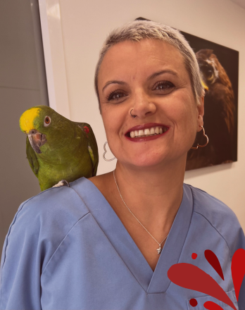 Claudia Fernández equipo veterinario Pedro Darder