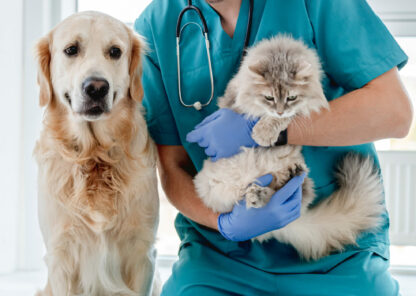 Smiling vet with golden retriever dog and fluffy cat in veterinarian clinic